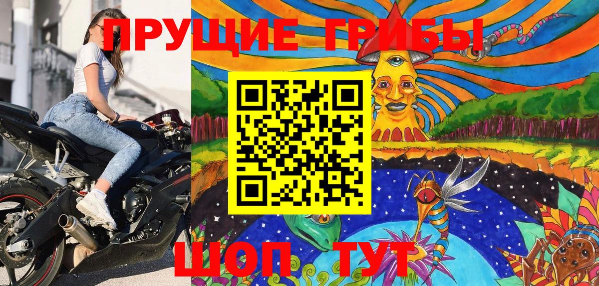 Псилоцибиновые грибы Psilocybe  Вход с VPN  Сокол 